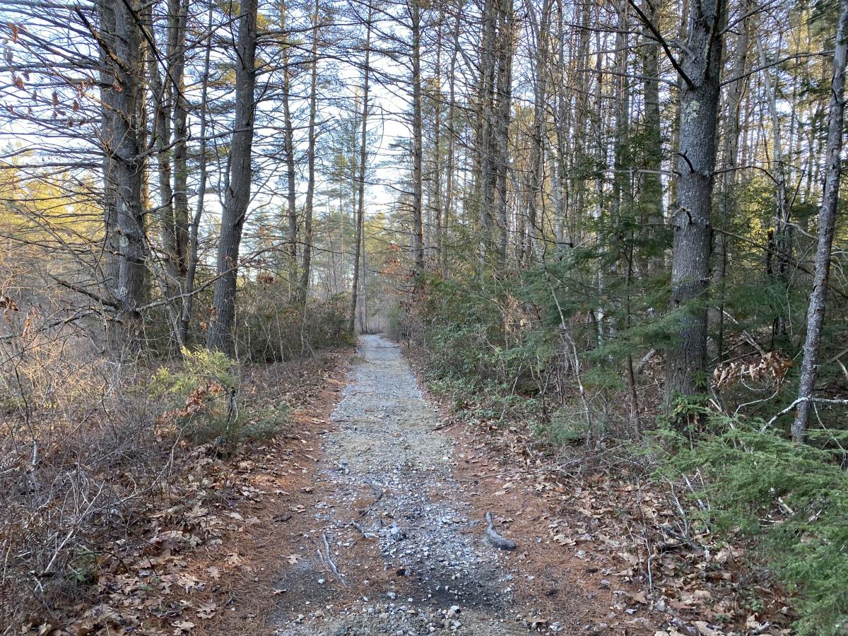 a portion of the Rabbit Run in the South Athol Conservation Area